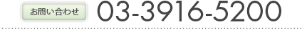 03-3916-5200